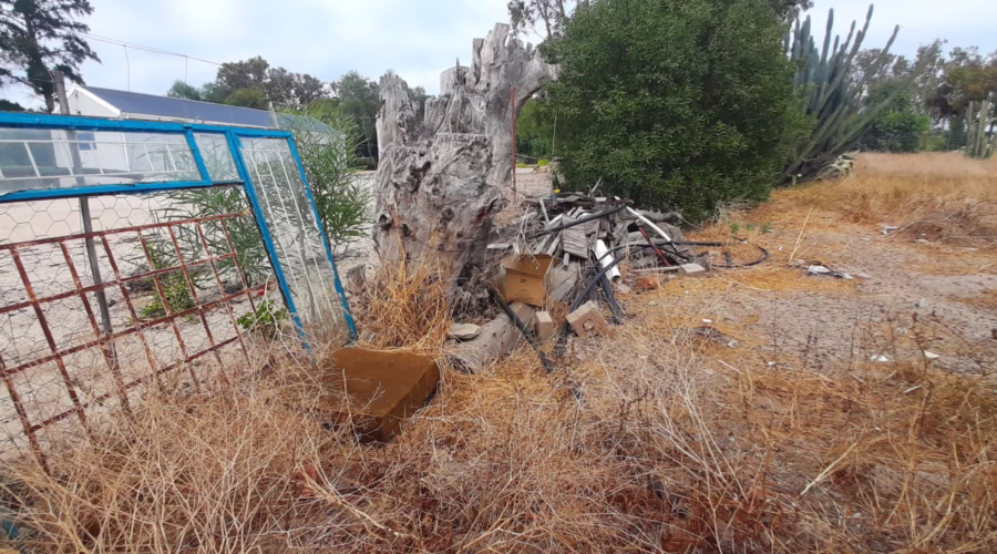 A Yard of Hazards – Neglect Turned Playground for Danger