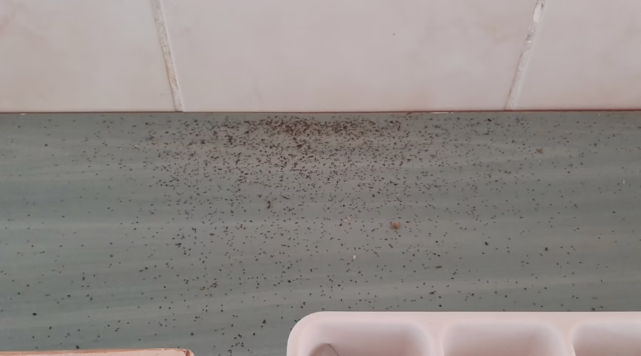 Hazard in the Kitchen – When the Ceiling Becomes a Safety Threat