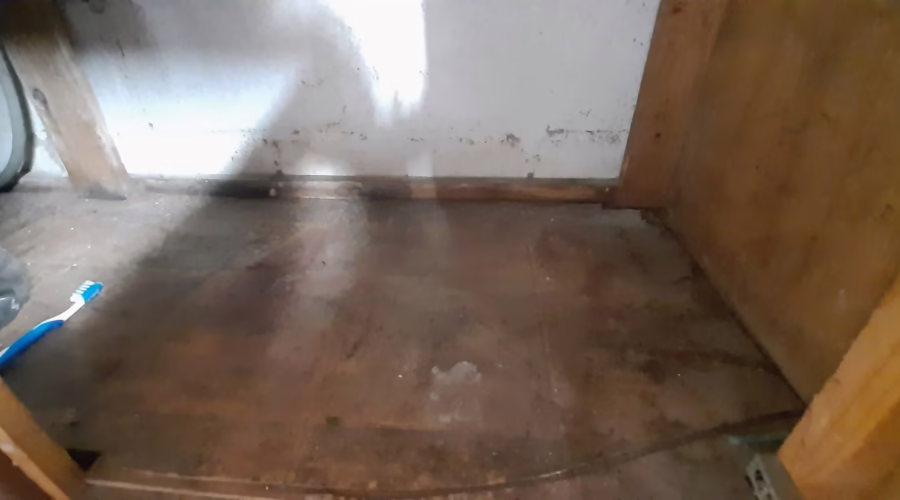 Moldy Kitchen Cupboards, Mice, and Municipal Responsibility: A Health Hazard Ignored