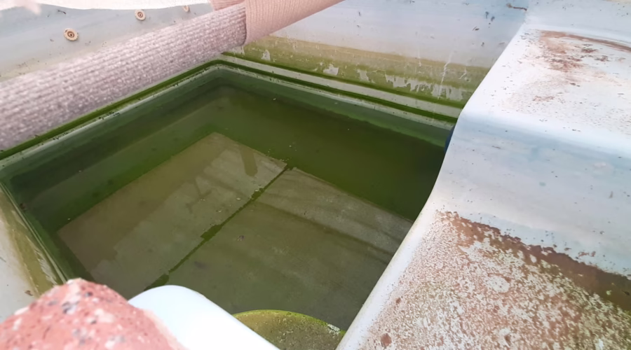 A Stinking Health Hazard – The Dangerous State of an Abandoned Pool