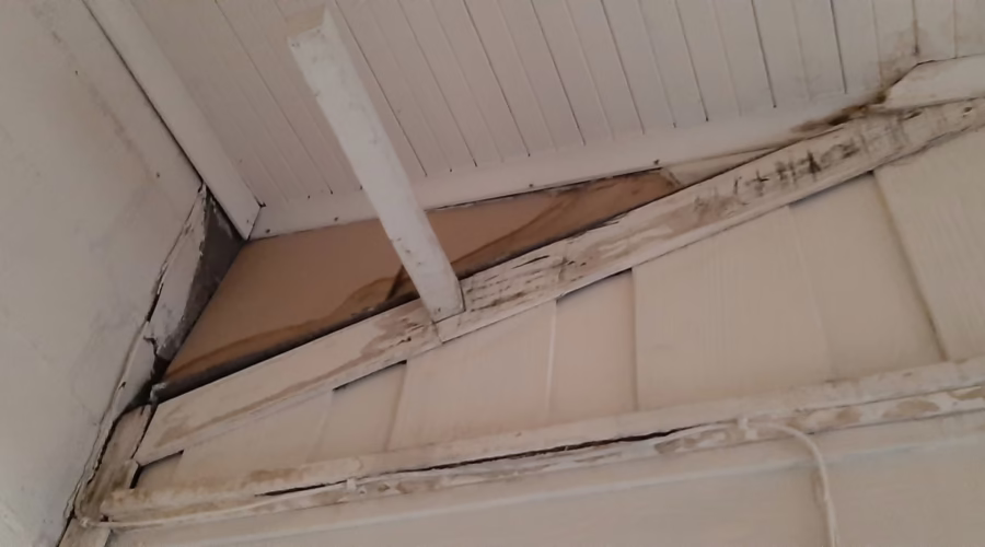 Water Damage and Shoddy Construction – When Leaks Expose Deeper Flaws